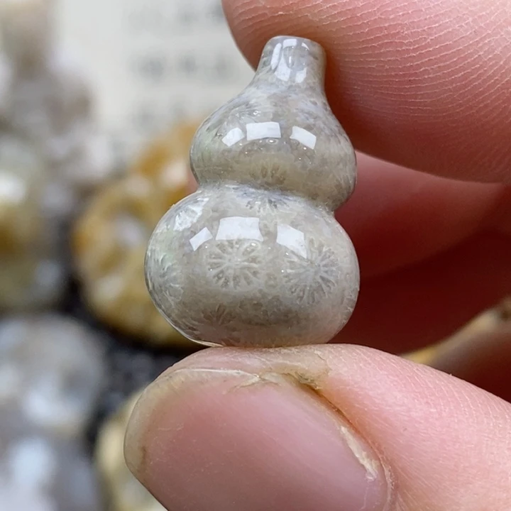硅化珊瑚（珊瑚玉）未镶嵌颈饰小