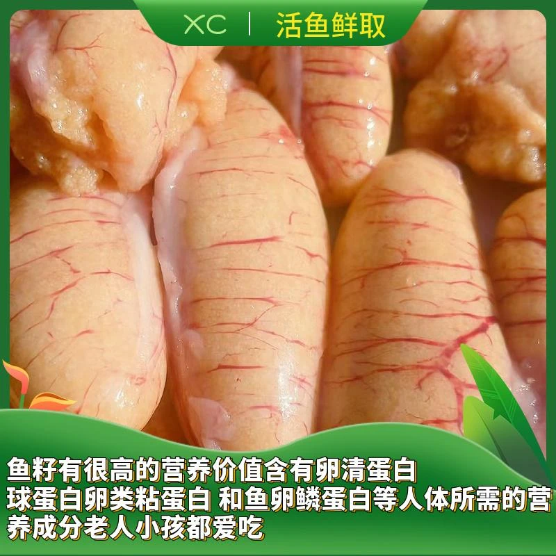 鲜活鲈鱼取籽一包2斤冷冻发货顺丰到家