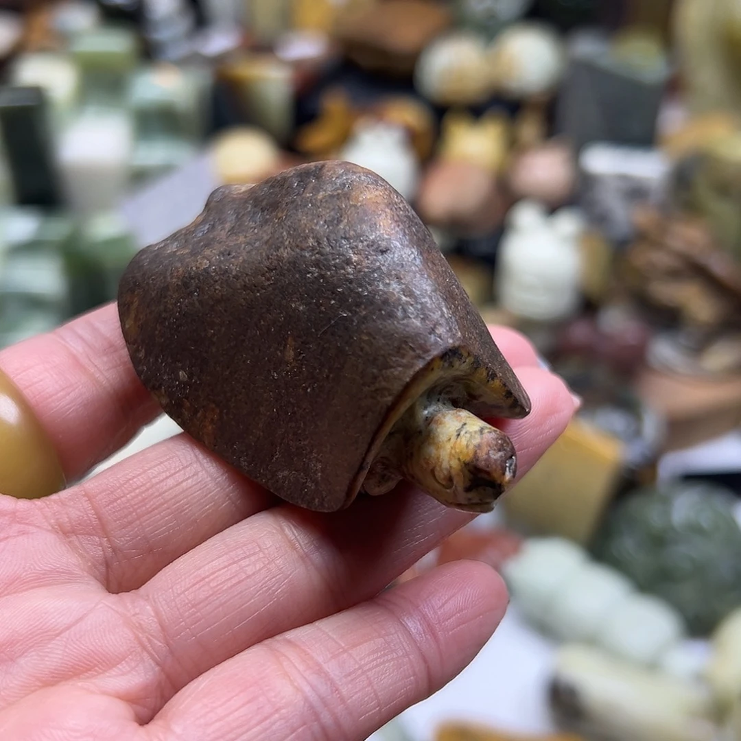 岫岩河磨玉（透闪石质玉）未镶嵌颈饰河磨玉龟龟