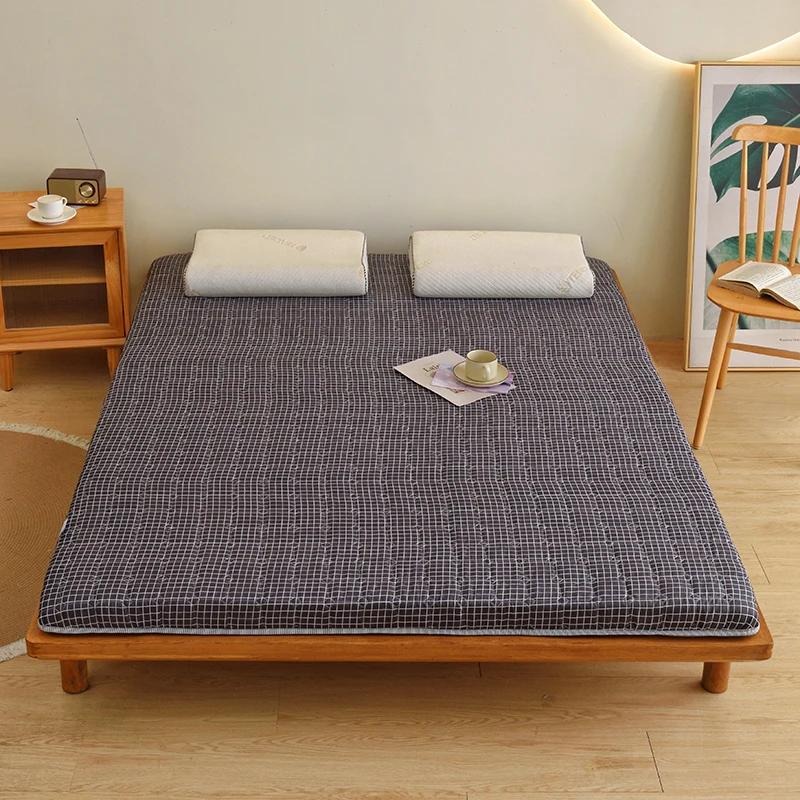 四季通用宿舍家用软垫双面可用两用折叠家用宿舍学生床垫可折叠