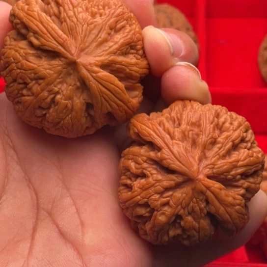 文玩核桃把件秦岭山脉核桃