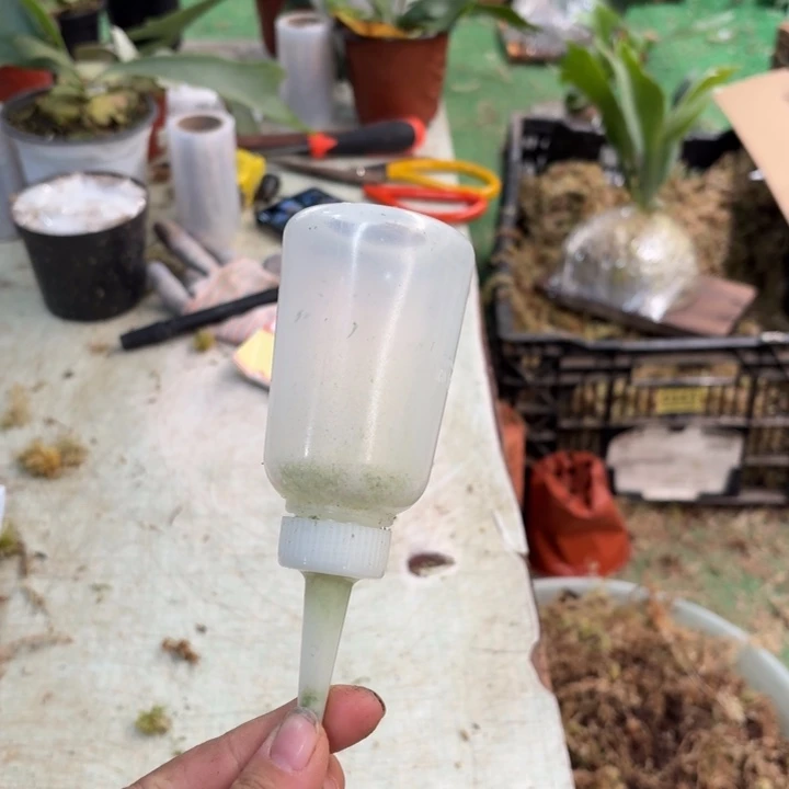 ，***鱼滴水瓶150浇水时用