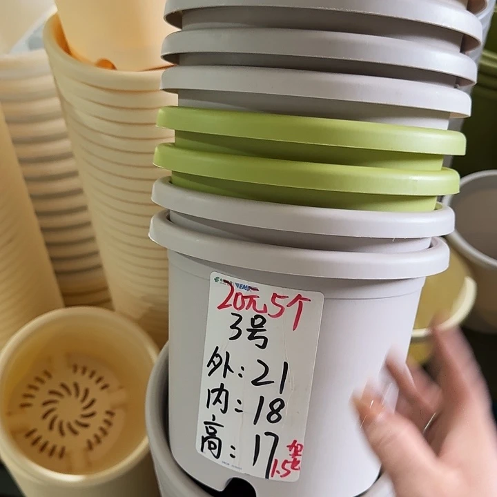 微瑕3#灰白10个无托