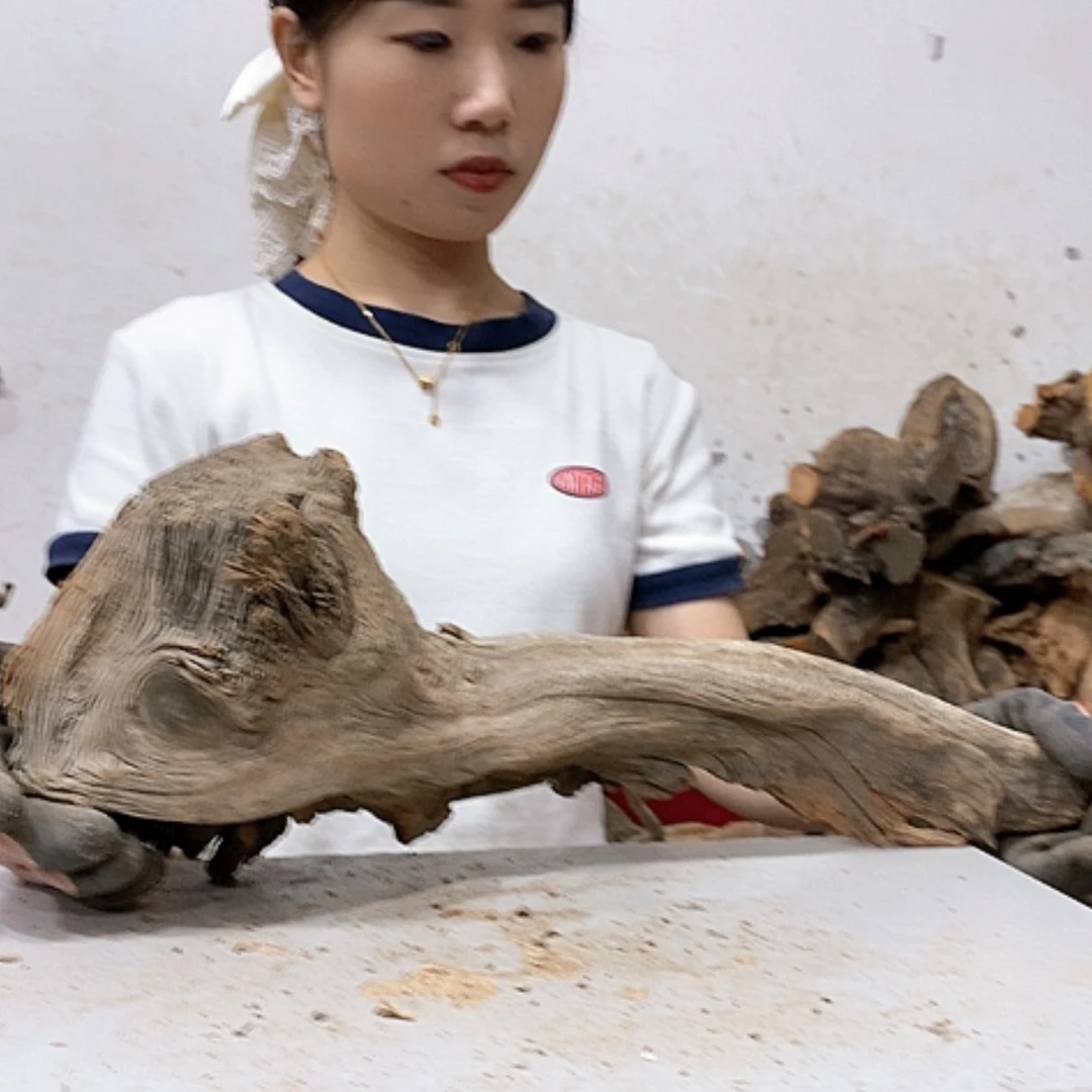 【闪购商品】柏木谦*我们都是好孩子呀