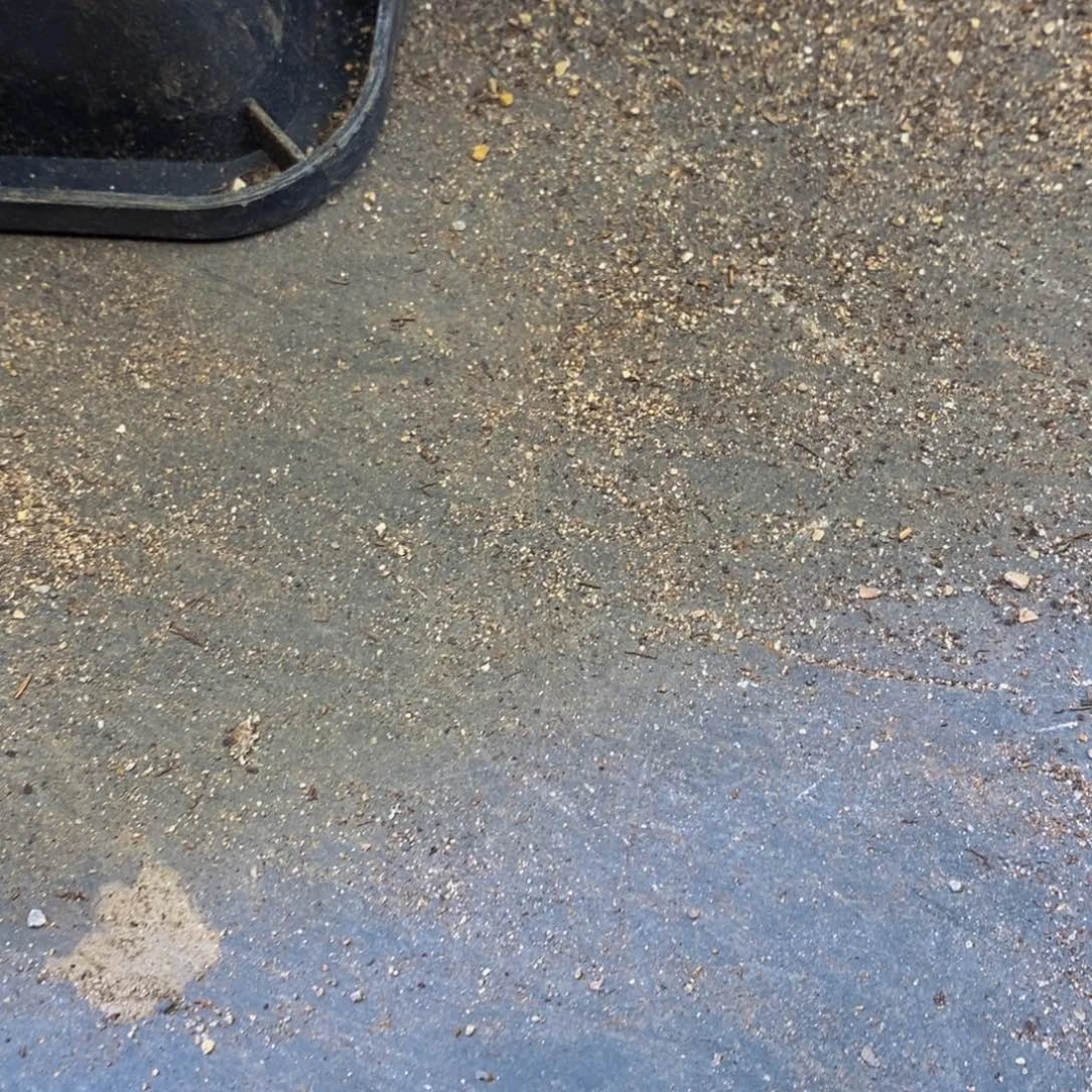 黑*子153多肉带盆土费多肉植物保护