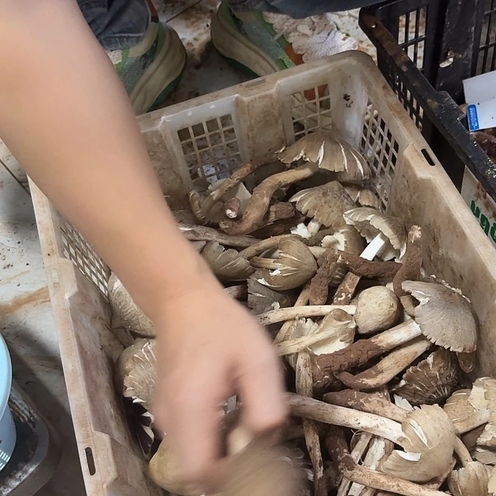 不***里南华……………………………………中国大陆