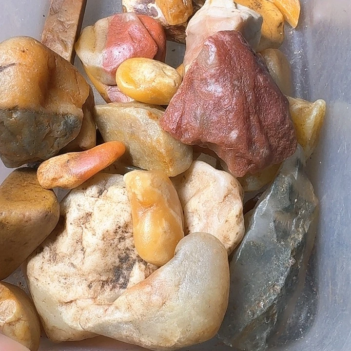 …***君寿山石寿山石的种类