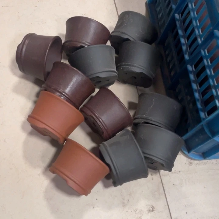 紫砂花盆1***6紫砂花盆口9高6