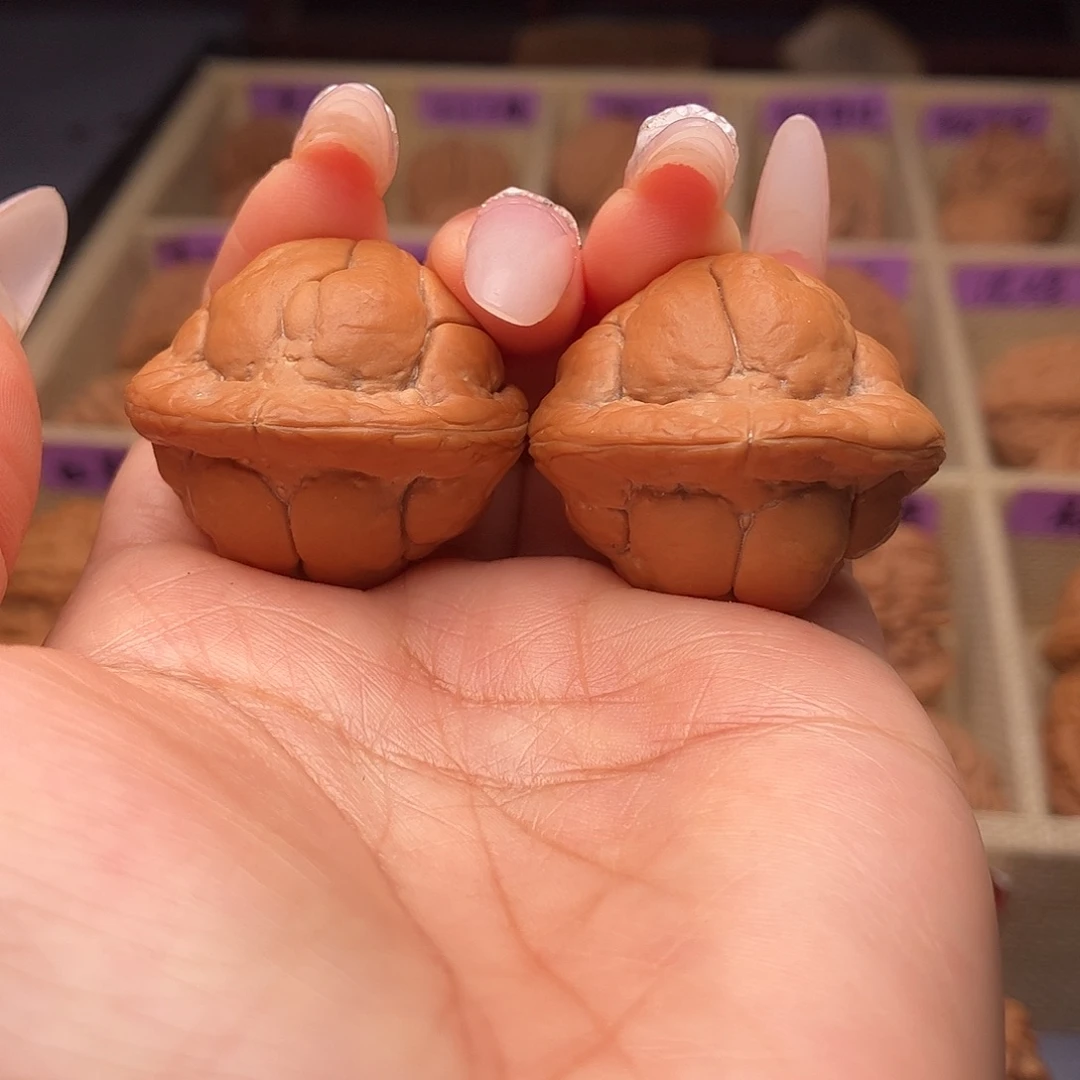 把件文玩核桃金刚鹦鹉