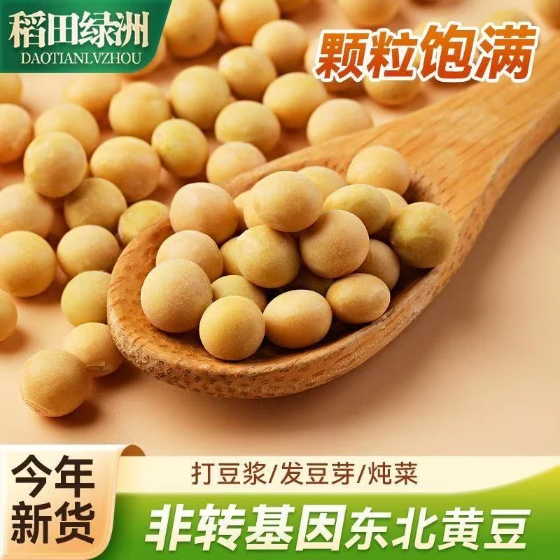 东北非转基因高蛋白黄豆做豆浆发豆芽做豆腐专用