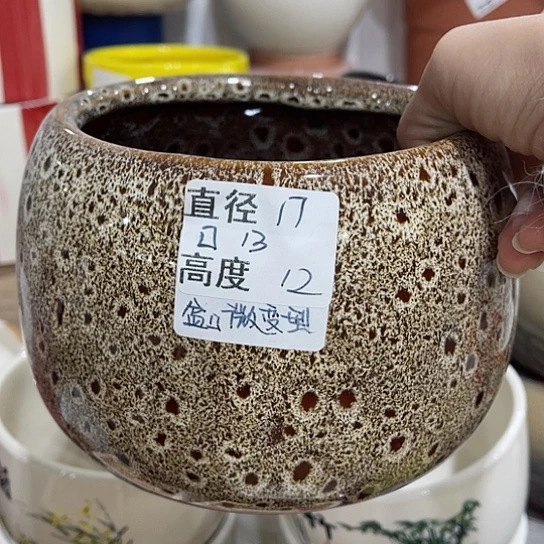 多肉绿植陶瓷花盆9.9包邮，有孔