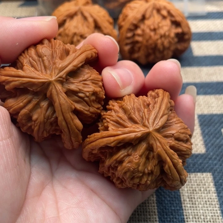 东***叶核桃白狮子43核桃