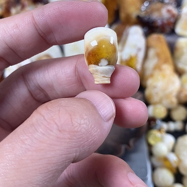 裸石琥珀未镶嵌我