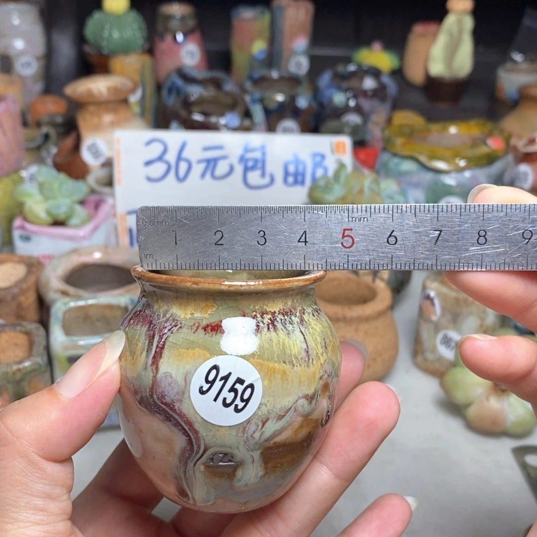 拍5送一个小礼物
