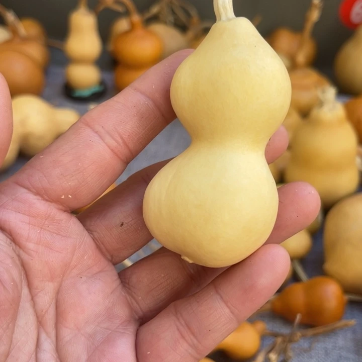 酒***子葫芦哈哈哈哈哈哈哈哈