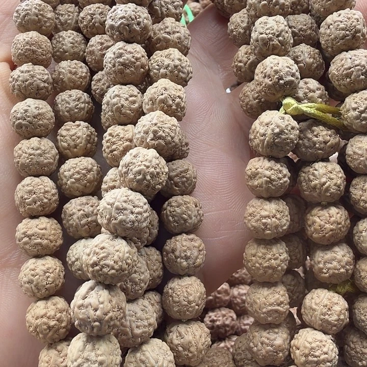 悟***）金刚菩提吊坠一代龙9+