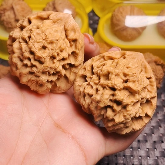 文玩核桃51尺大龙鼎