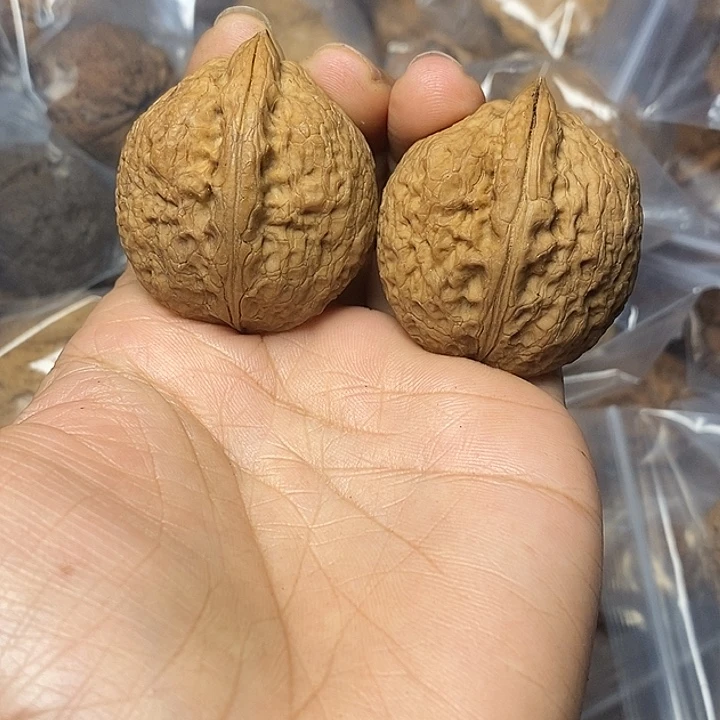 文玩核桃把件云南铁核桃28