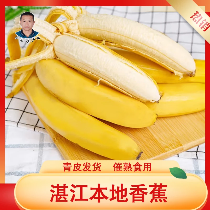 【催熟食用】湛江本地甜香蕉当季甜香蕉水果 净重4-9斤（南宁中转）