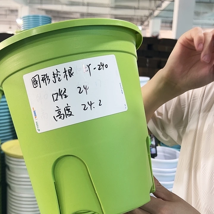 正品圆控口24高24果绿无托8只