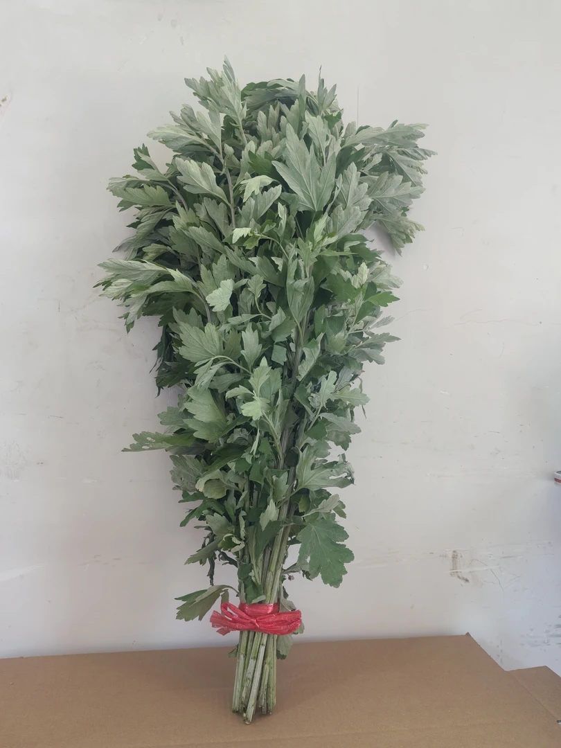 艾草叶摆放新鲜整棵端午节挂门窗家用驱蚊