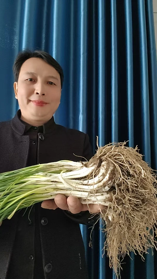 余干本地荞头现挖新鲜农家应季蔬菜