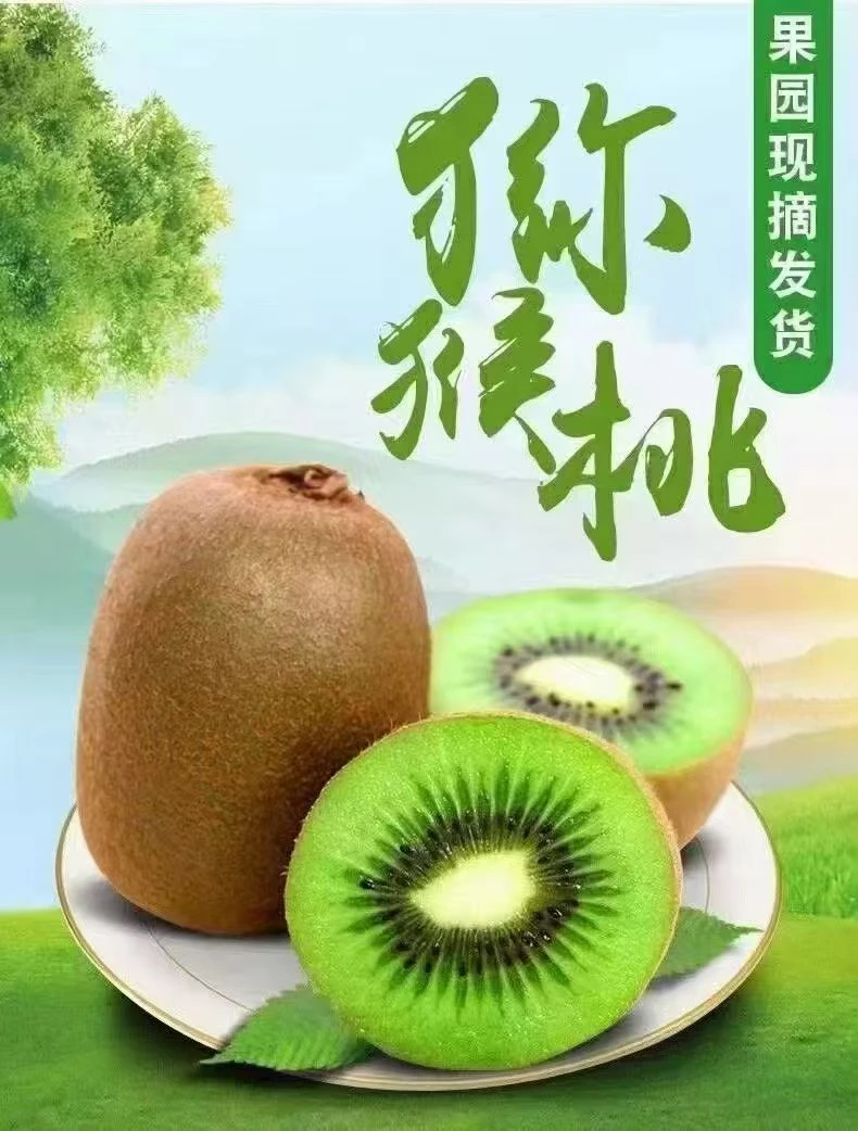陕西猕猴桃陕西特产香甜新鲜当季水果自然熟肉厚味甜唐国强台风