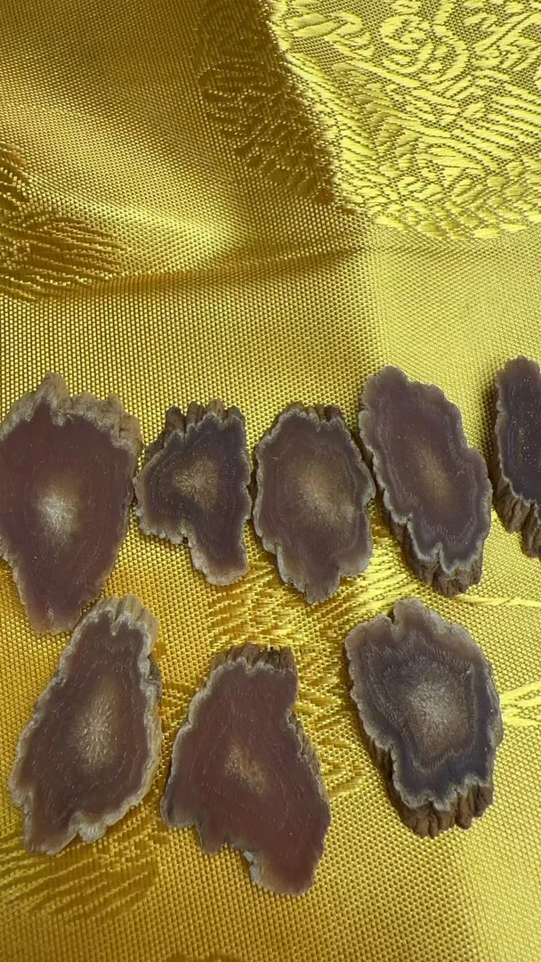高丽籽残片/年份足/劲足/统货