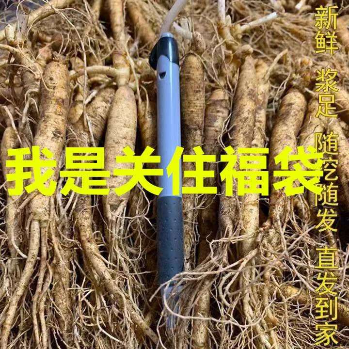 福袋关住人参小号单只5-8克左右100克鲜人参长白山整枝人参