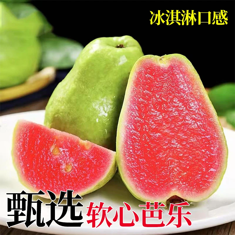 现摘新鲜正宗广西红心芭乐番石榴芭乐水果芭乐软糯香甜