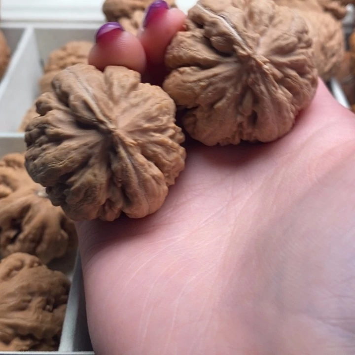 家***进吊坠文玩核桃霸王龙