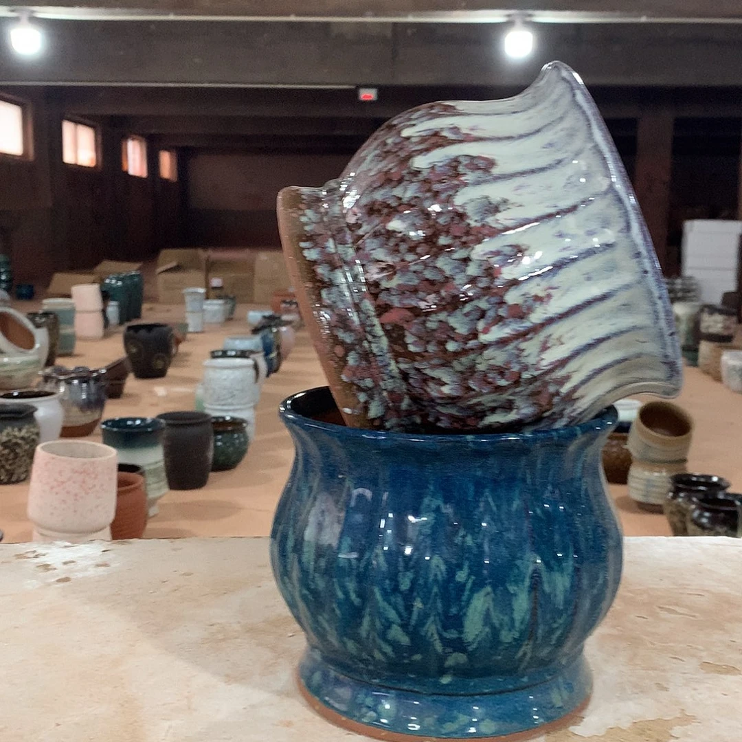 花盆啦啦啦啦啦啦啦