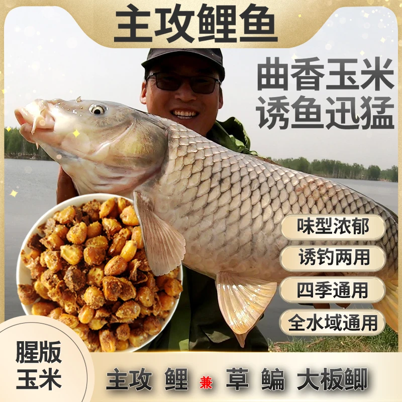 贴牌定制：曲香玉米谷麦麦粒玉米春秋冬季主攻鲤鱼草鱼鳊鱼大板鲫
