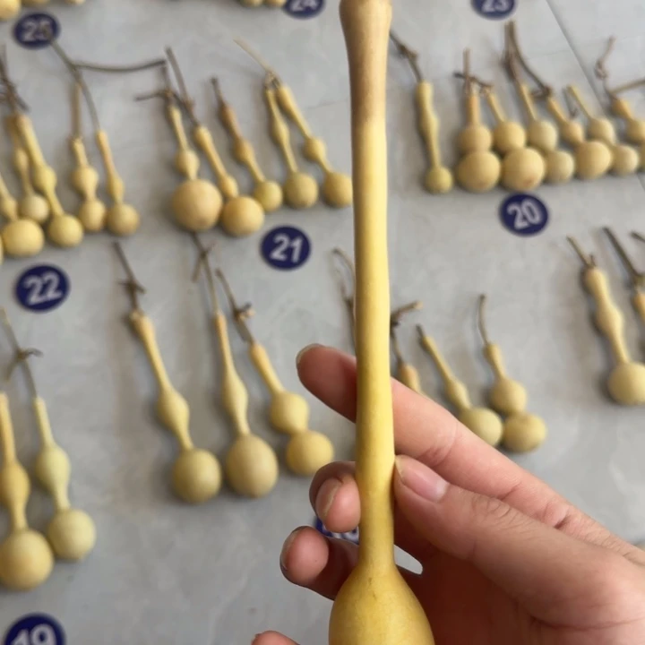 请***仔精品油锤杆子周正