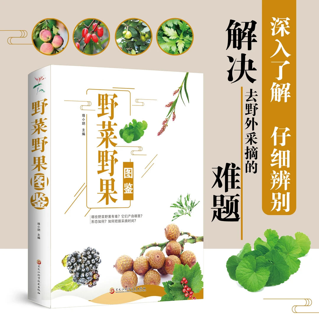 正版野菜野果图鉴 野外野菜野果采摘时节辨别植物采摘地点彩图版