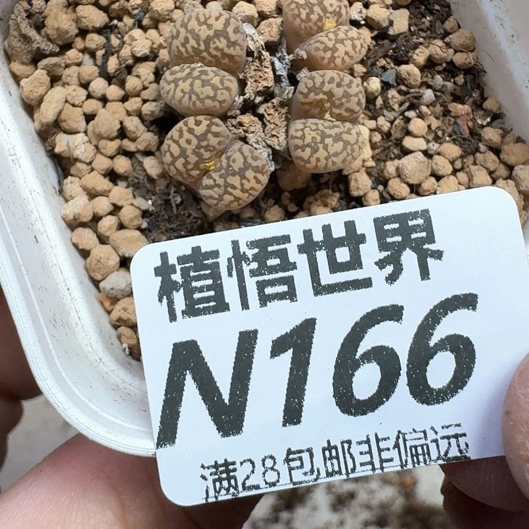 的润泽的日子去的润泽发发