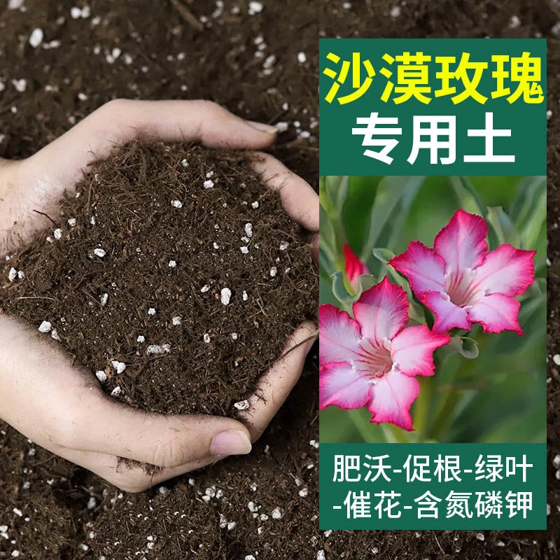 沙漠玫瑰专用土养花盆栽土沙漠玫瑰营养土种植土肥料微酸性土壤