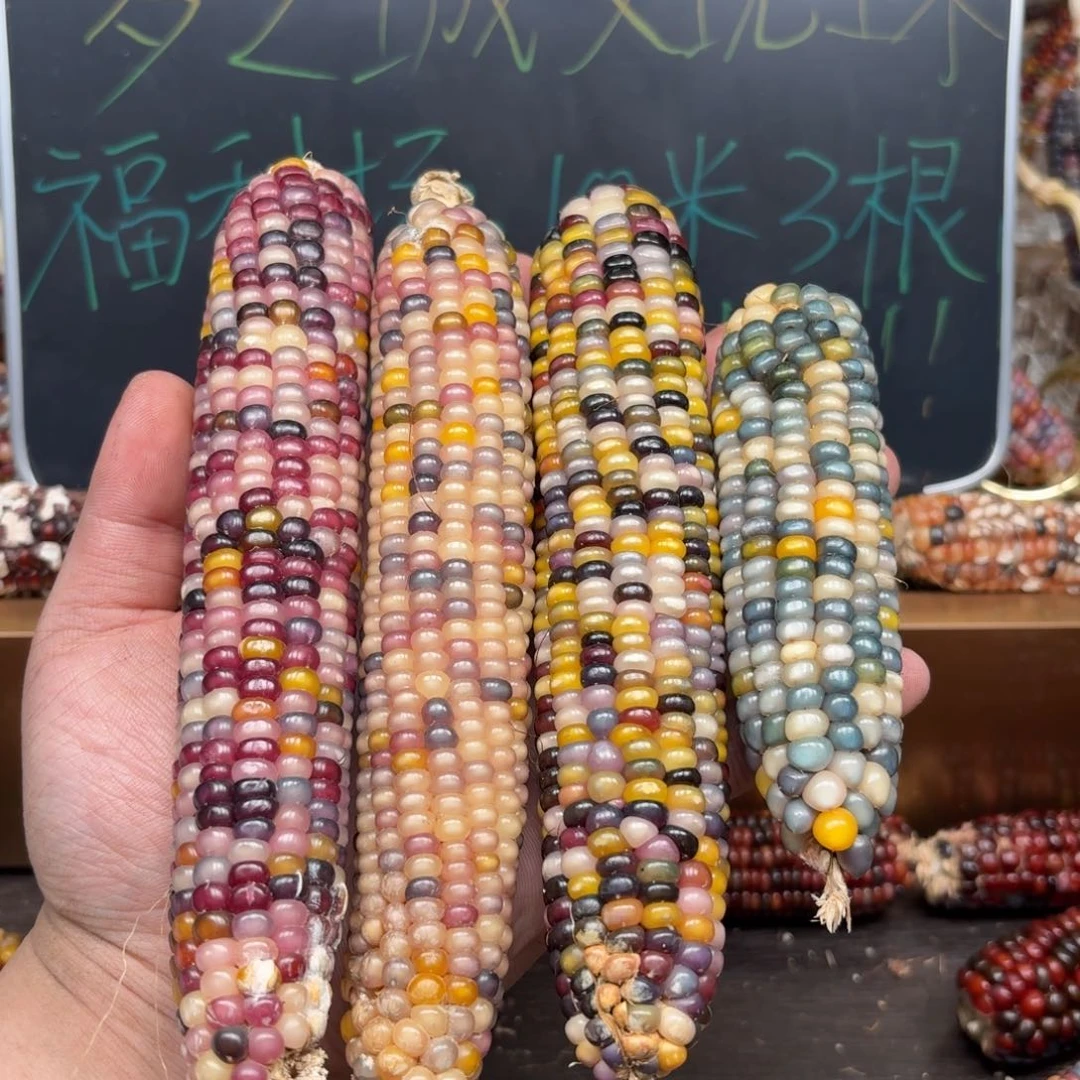 柏香籽/百香籽吊坠性****?