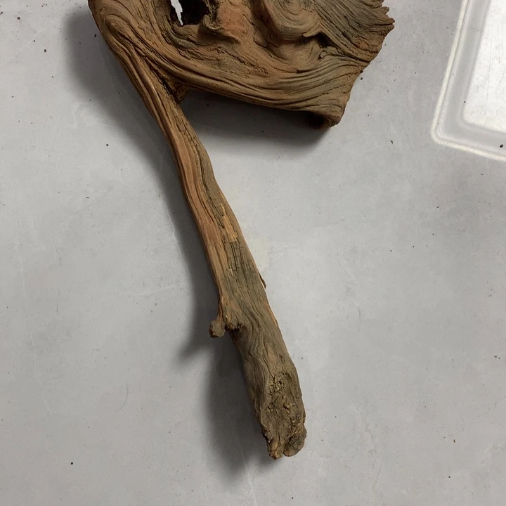 *****无花朵今天晚上在学校吃饭