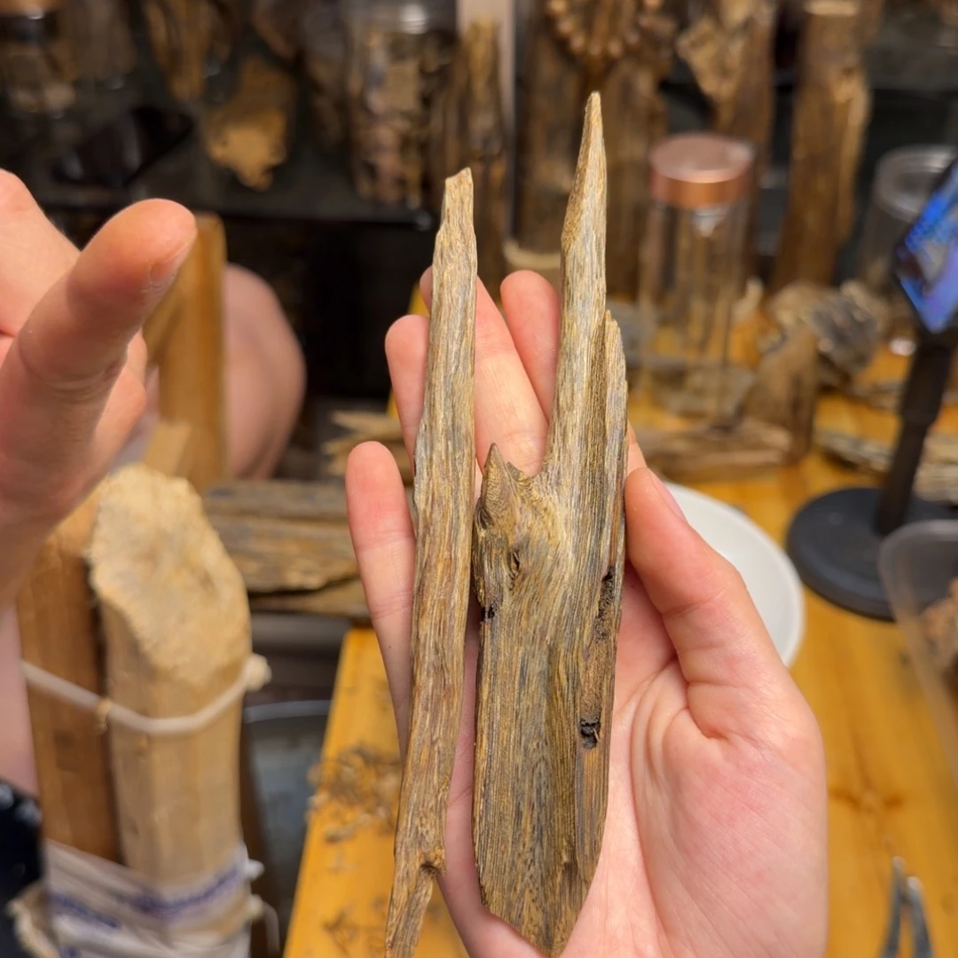 沉香碎屑沉香陆河天然虫漏