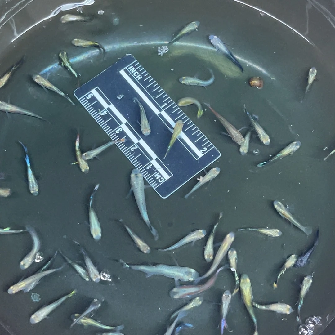 海星1-42号哈哈哈哈哈哈