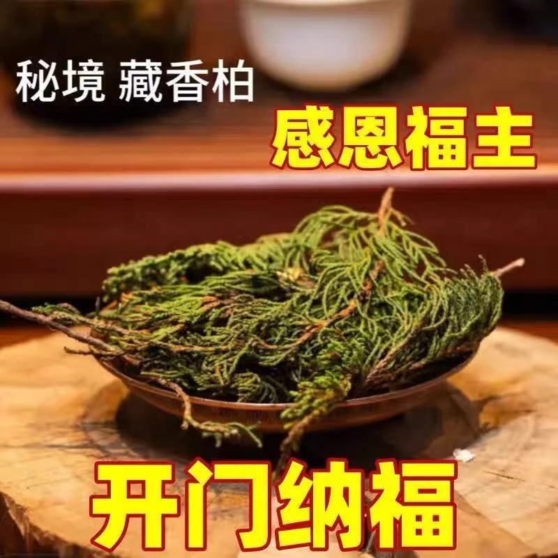 【新疆包邮】正宗天然植物藏香柏精华香薰高原植物枝叶藏香柏居家
