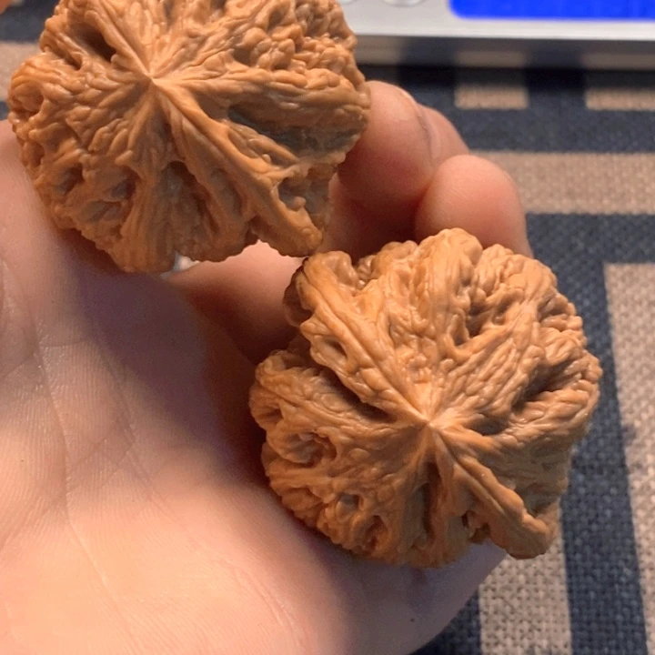 文玩核桃吊坠全品粗筋