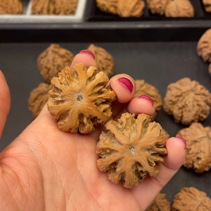 吊坠文玩核桃突突突突突