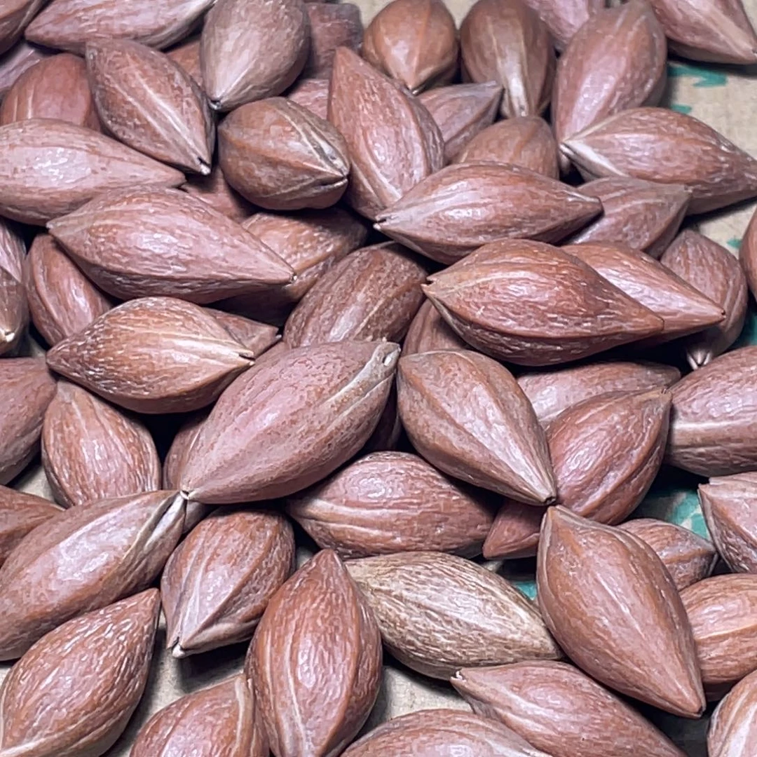 阿*不退不换gdggf