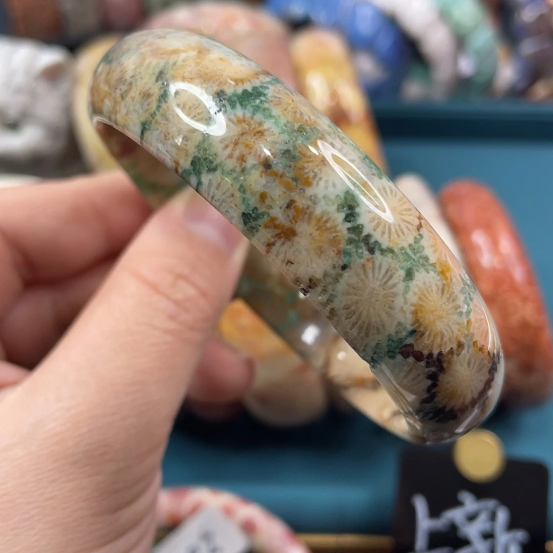 未镶嵌手镯硅化玉