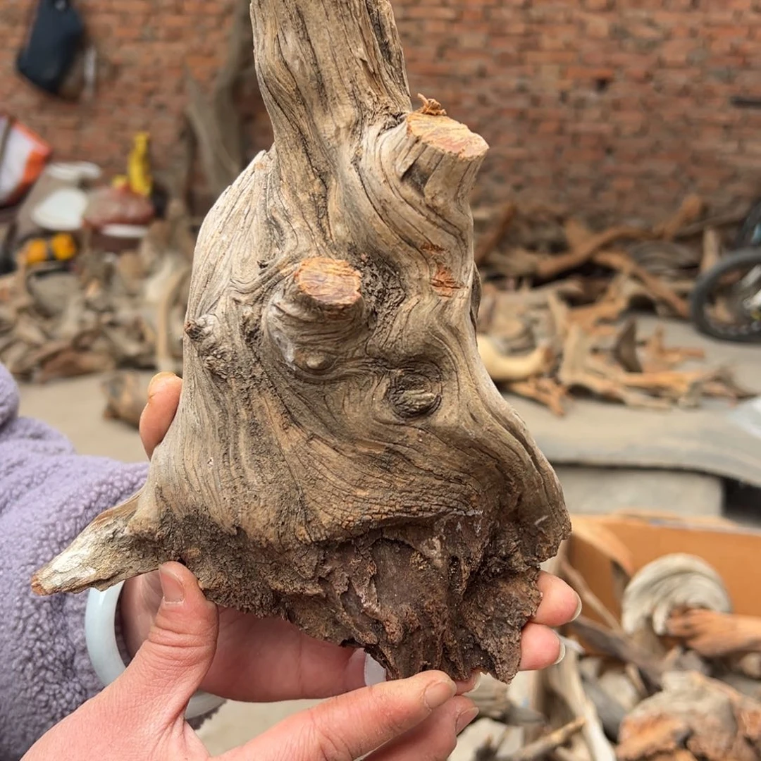 柏木（崖柏）梦****?文玩崖柏