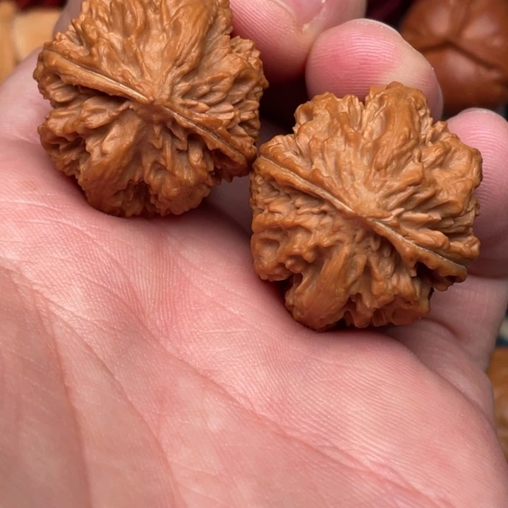 文玩核桃把件暴龙