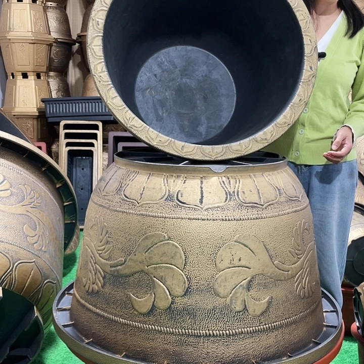 圆盆古铜五零四个