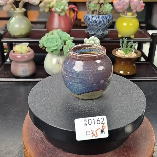 多肉拇指花盆编号0162